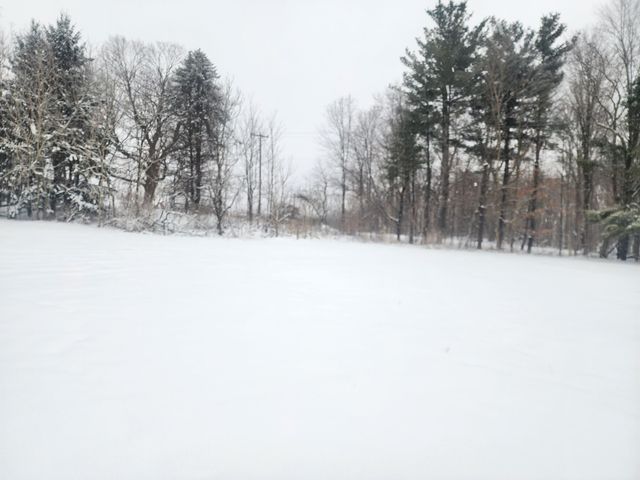 25113 12th Avenue, Gobles, MI 49055