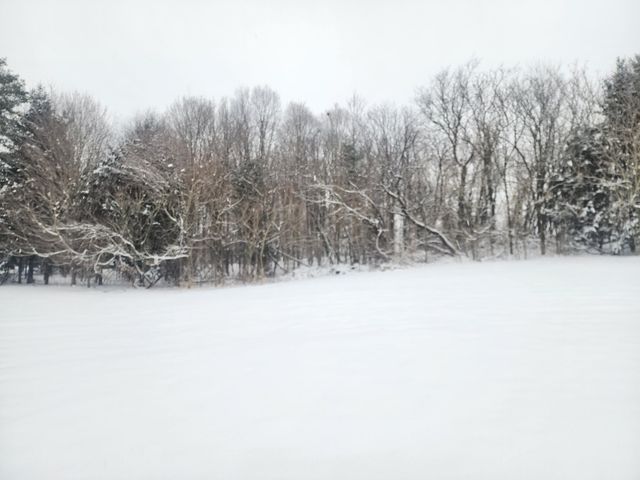 25113 12th Avenue, Gobles, MI 49055