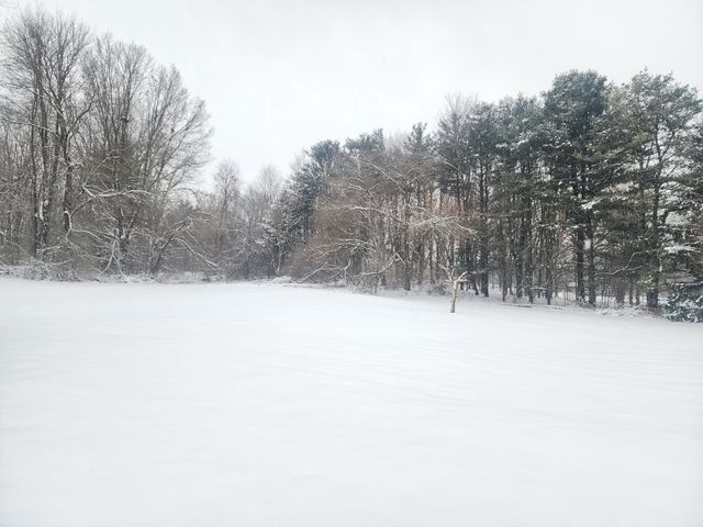 25113 12th Avenue, Gobles, MI 49055