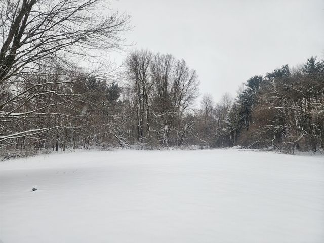 25113 12th Avenue, Gobles, MI 49055