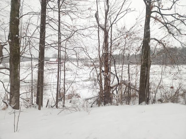 25113 12th Avenue, Gobles, MI 49055