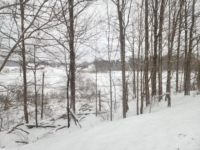 25113 12th Avenue, Gobles, MI 49055