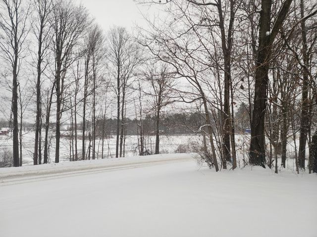 25113 12th Avenue, Gobles, MI 49055