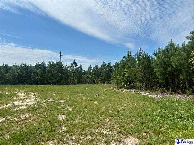 52 Scott Pond Rd., Hartsville, SC 29550