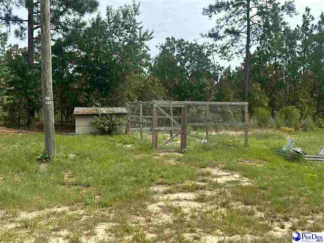 52 Scott Pond Rd., Hartsville, SC 29550