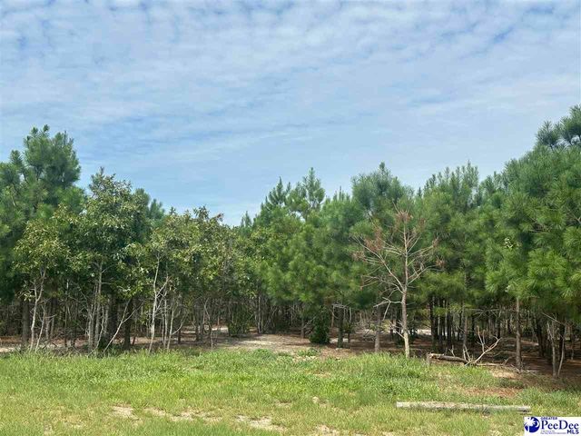 52 Scott Pond Rd., Hartsville, SC 29550