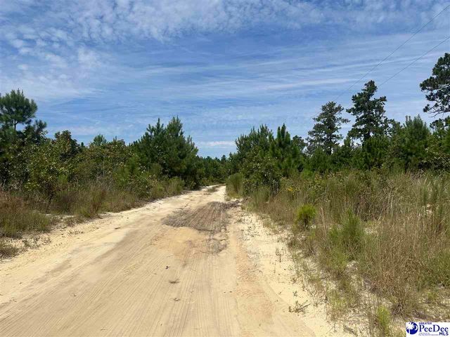 52 Scott Pond Rd., Hartsville, SC 29550