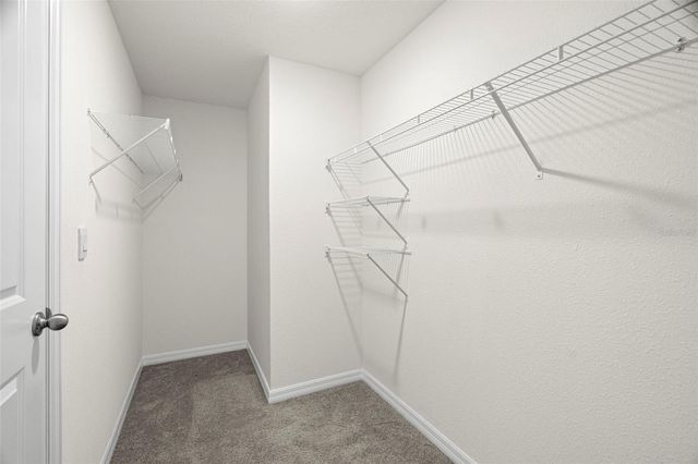 2818 GUMBO LIMBO DRIVE, Wimauma, FL 33598