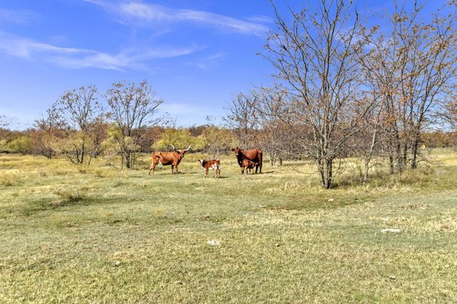 14771 Shearer Road, Pilot Point, TX 76258