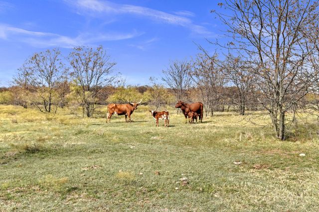 14771 Shearer Road, Pilot Point, TX 76258