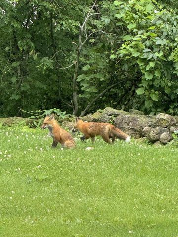 7603 Lechler LANE, Kiel, WI 53042