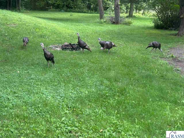 52765 409th Avenue, North Mankato, MN 56003