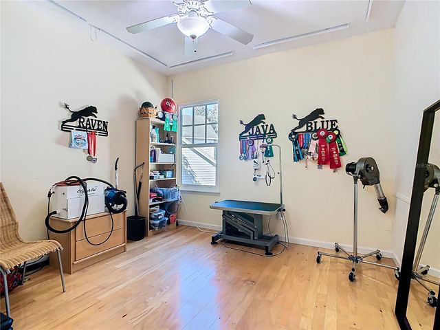 1101 BANKS ROSE COURT, Celebration, FL 34747