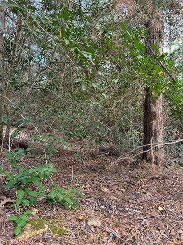 Lots 158 and 159 Hekili DR, Bastrop, TX 78602