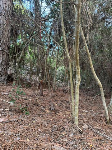 Lots 158 and 159 Hekili DR, Bastrop, TX 78602