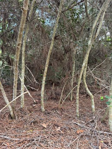 Lots 158 and 159 Hekili DR, Bastrop, TX 78602