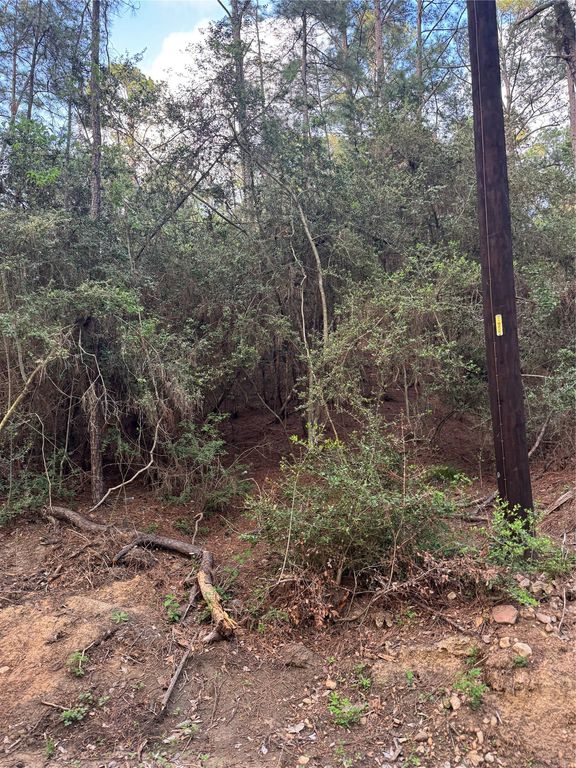 Lots 158 and 159 Hekili DR, Bastrop, TX 78602