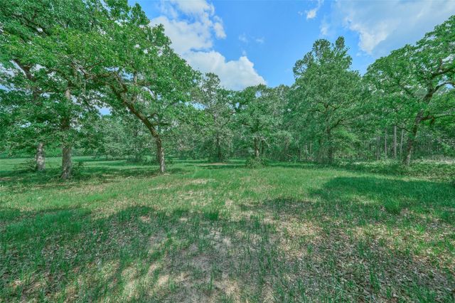 27610 S Log Cabin Road, Montgomery, TX 77356