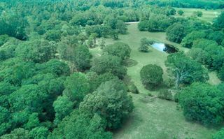 27610 S Log Cabin Road, Montgomery, TX 77356