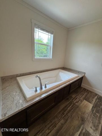 1680 Goodfield Rd, Decatur, TN 37322