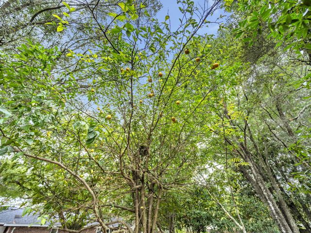 425 Stahlman Avenue, Destin, FL 32541