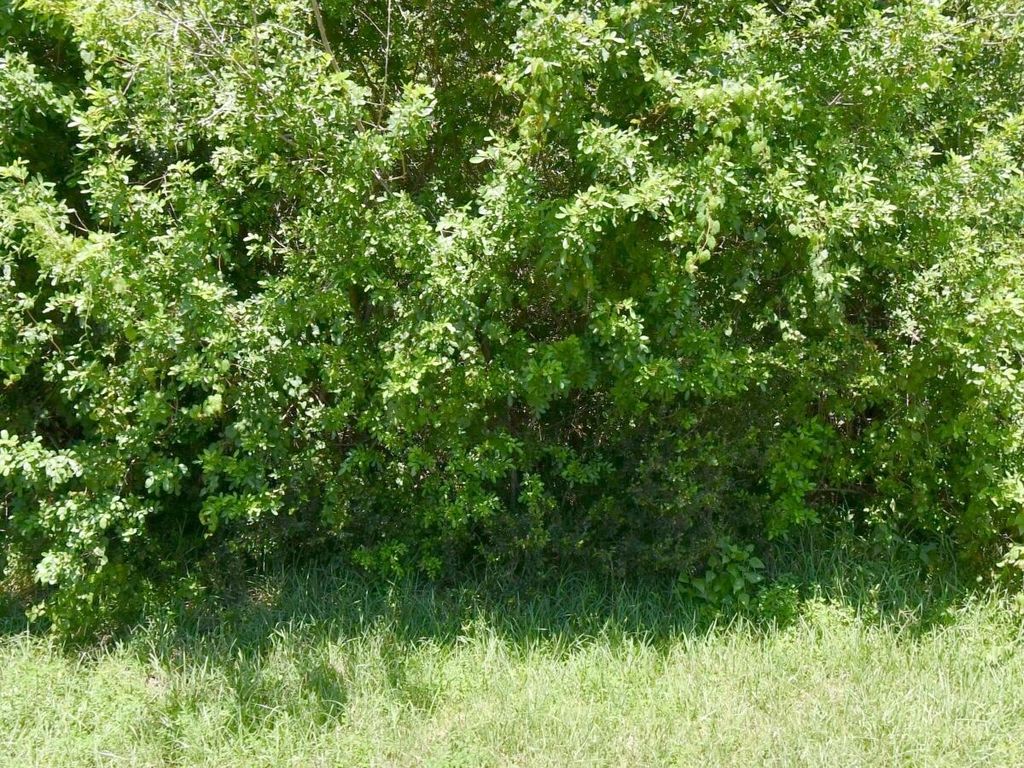 172 SW Gettysburg Drive, Port St. Lucie, Port St Lucie, FL 34953