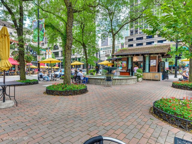 1030 N State Street 9G, Chicago, IL 60610