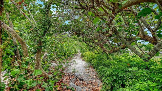 616 S CASEY KEY ROAD, Nokomis, FL 34275