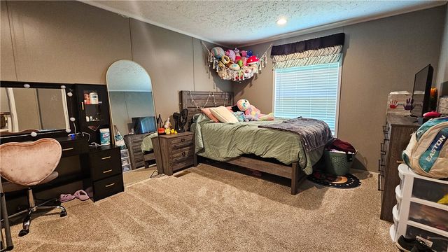 1226 Simba Road, Atkins, AR 72823