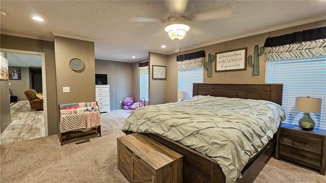 1226 Simba Road, Atkins, AR 72823