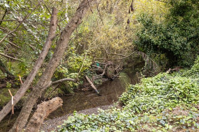 1416 Flores Drive, Pacifica, CA 94044