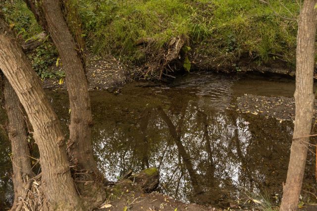 1416 Flores Drive, Pacifica, CA 94044