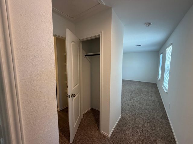 14541 Lily Plains Drive, Splendora, TX 77372