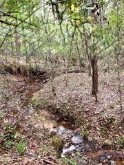 TBD Tony Peebles Road, Livingston, TX 77351