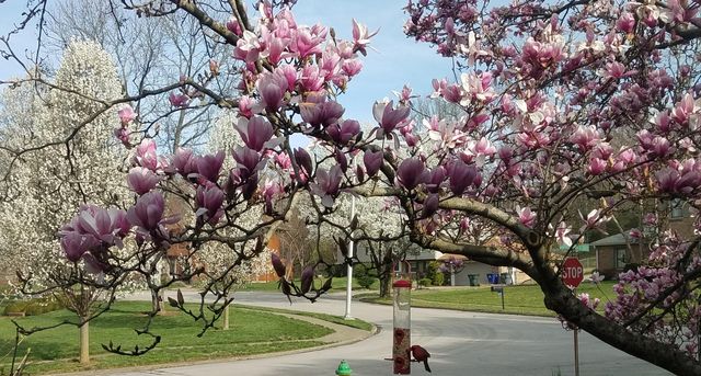 3412 Heritage Place, Lexington, KY 40502