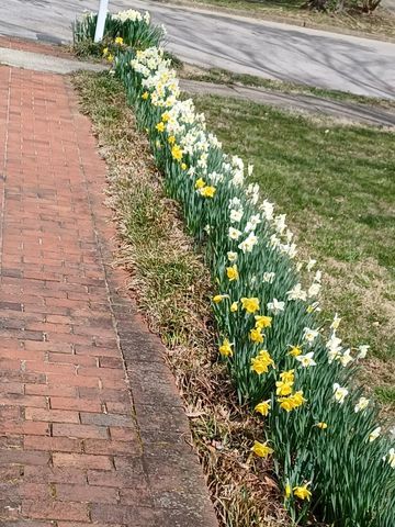 3412 Heritage Place, Lexington, KY 40502