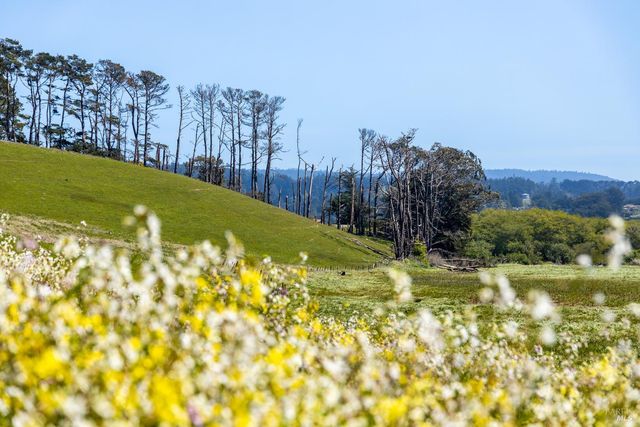 21601 S Highway 1 Hwy, Point Arena, CA 95468