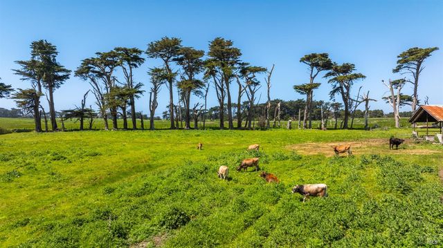 21601 S Highway 1 Hwy, Point Arena, CA 95468