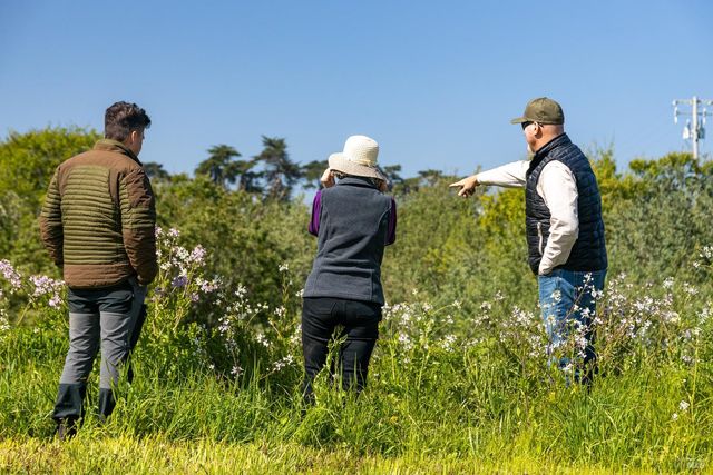 21601 S Highway 1 Hwy, Point Arena, CA 95468