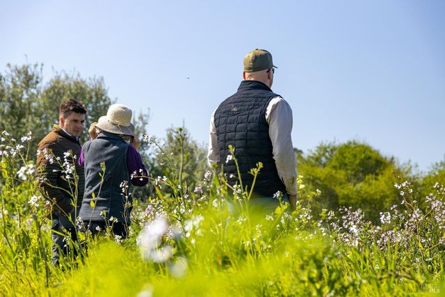 21601 S Highway 1 Hwy, Point Arena, CA 95468