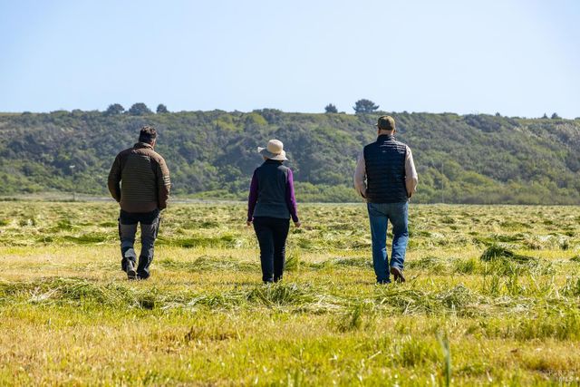 21601 S Highway 1 Hwy, Point Arena, CA 95468