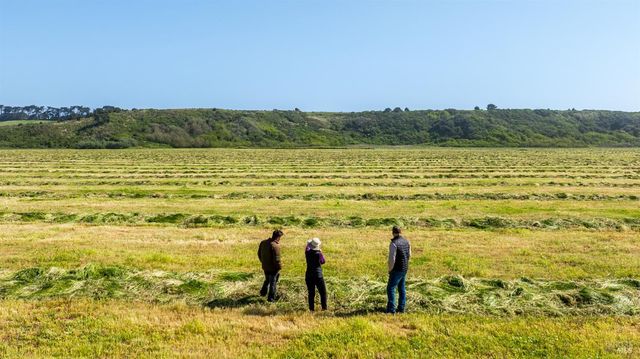 21601 S Highway 1 Hwy, Point Arena, CA 95468