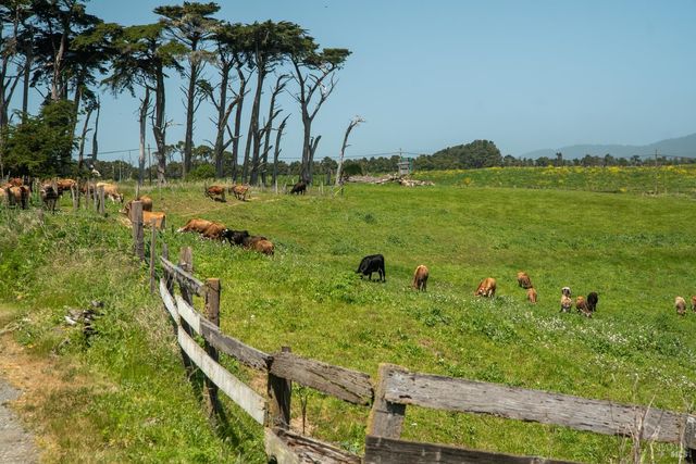 21601 S Highway 1 Hwy, Point Arena, CA 95468