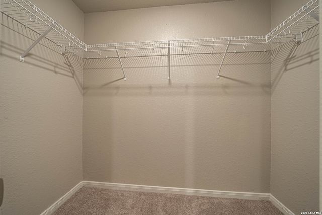 3119 BEGONIA BND, San Antonio, TX 78222