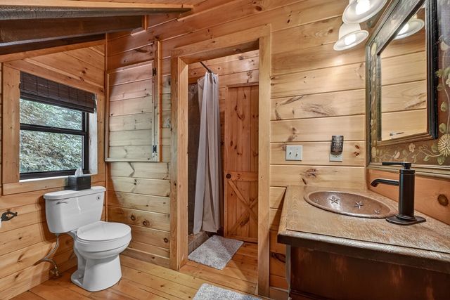 530 Amy Creek Circle, Ellijay, GA 30540