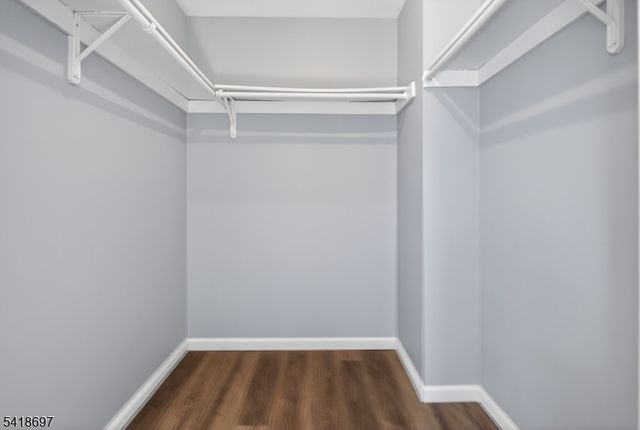 66 Pear Tree Ln, Franklin Twp., NJ 08823