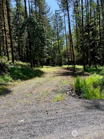 139 Red Hawk Lane, Winlock, WA 98596