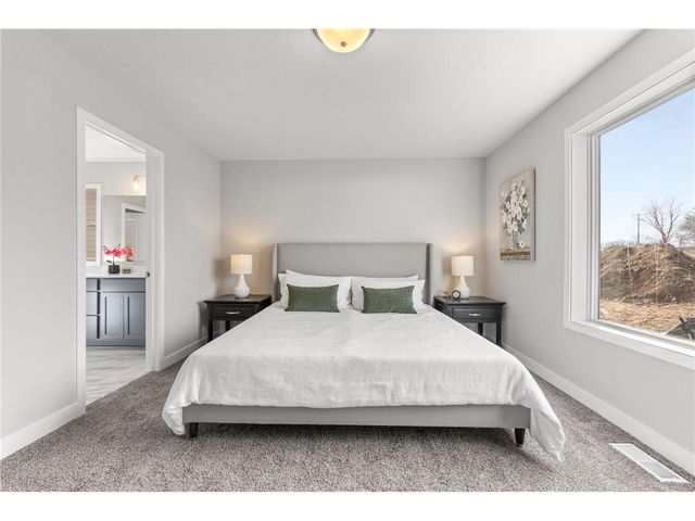 316 Distel Drive, Le Sueur, MN 56058