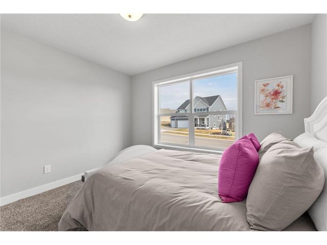 316 Distel Drive, Le Sueur, MN 56058