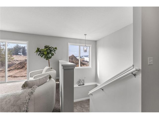 316 Distel Drive, Le Sueur, MN 56058